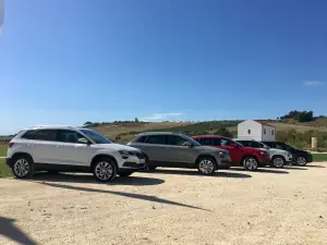 Skoda Karoq MY2017 - 5