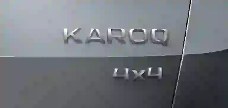 Skoda Karoq - Prototipo - 20