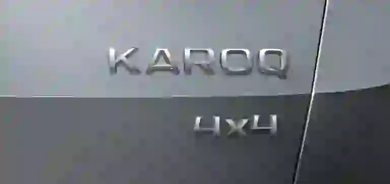 Skoda Karoq - 5