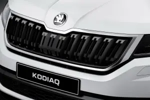 Skoda Kodiaq - 24