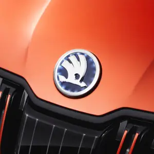 Skoda Mountiaq Concept - 10