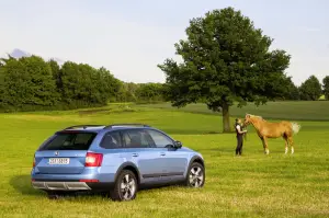 Skoda Octavia Scout 2014 