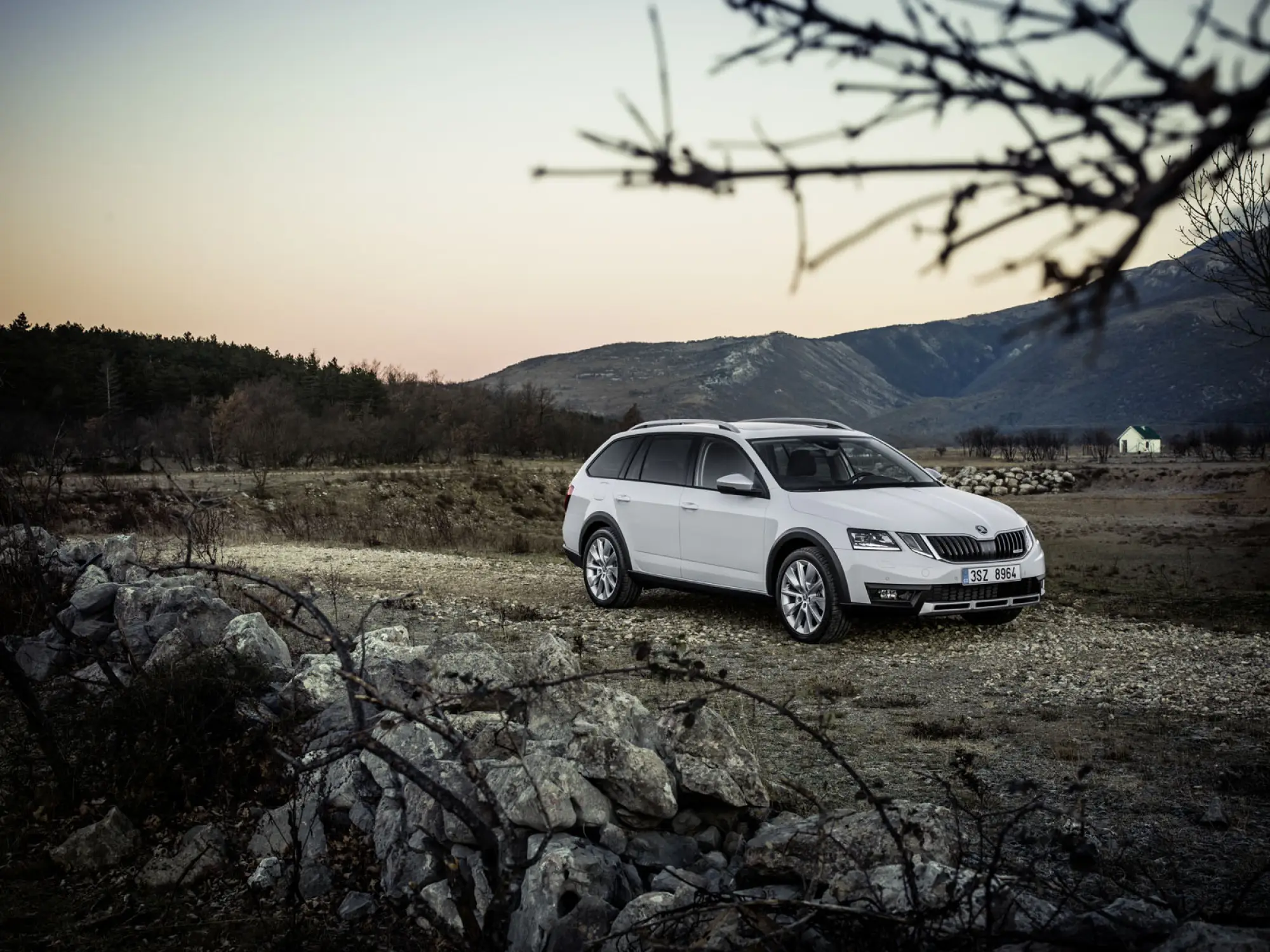 Skoda Octavia Scout MY 2017 - 2