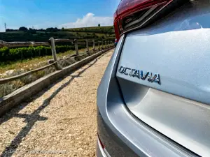 Skoda Octavia Wagon 2020 - Prova su Strada in Anteprima