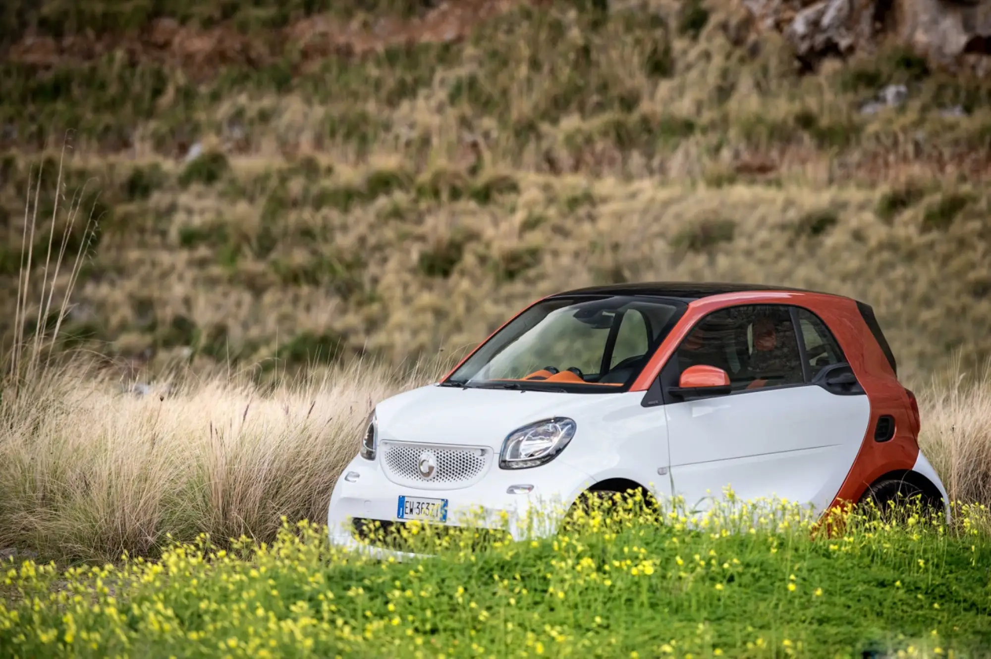 Smart ForTwo 70 twinamic 2015 - 10