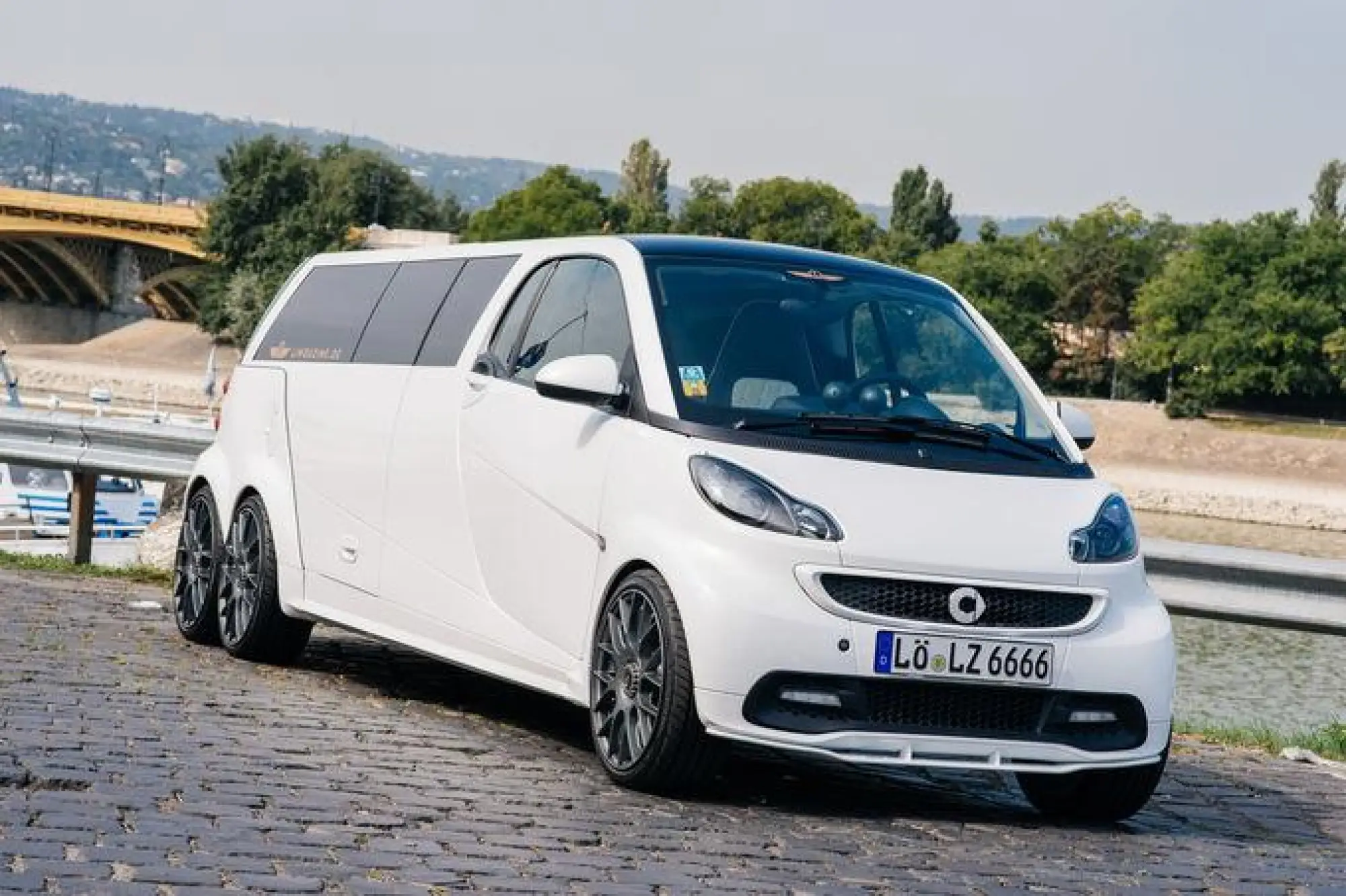 Smart limousine - 13