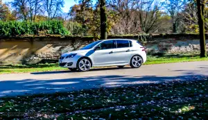 Speciale Peugeot 308 - 45