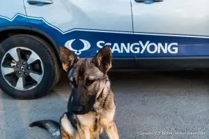 SsangYong Rexton Trans Eurasia Trail