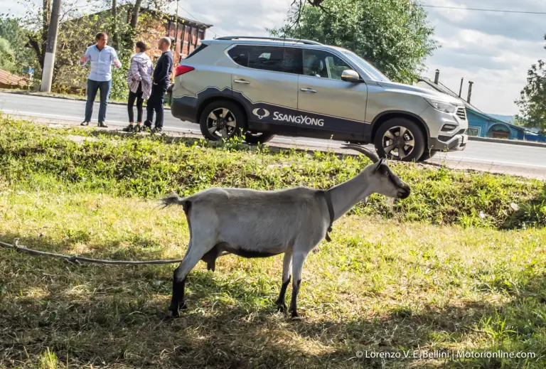 SsangYong Rexton Trans Eurasia Trail - 104