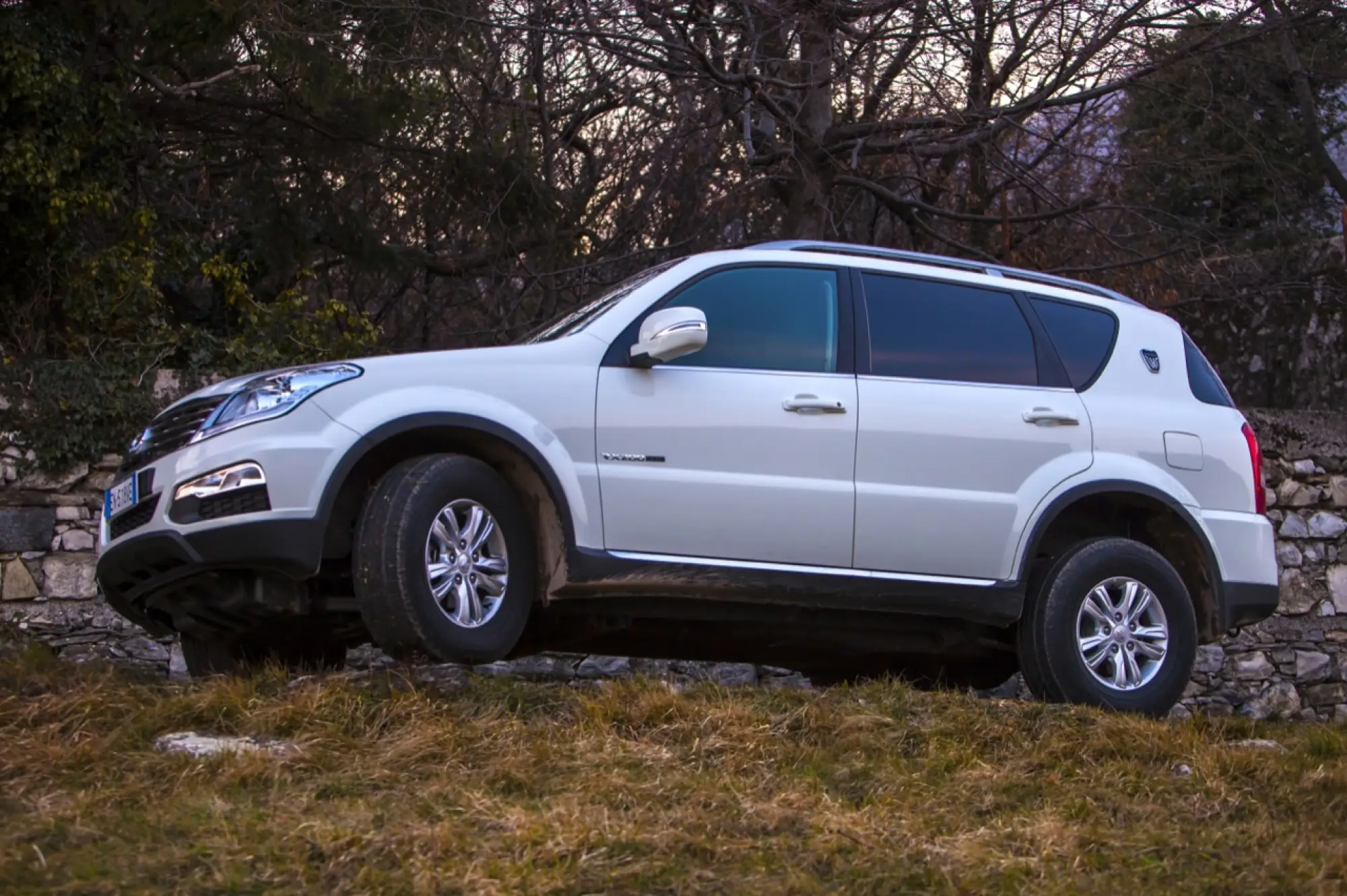 SsangYong Rexton W 2013 - 75