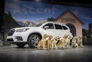 Subaru Ascent