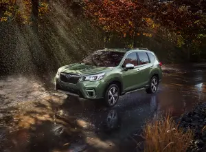 Subaru Forester MY 2019