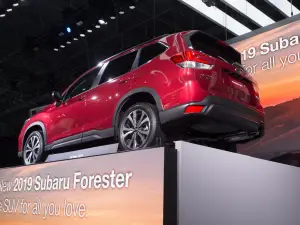 Subaru Forester MY 2019