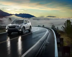 Subaru Forester MY 2019