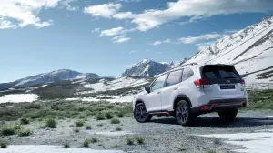 Subaru Forester MY 2022