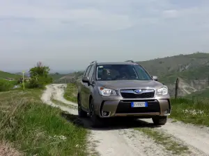 Subaru Forester Turbodiesel Lineartronic - Primo Contatto - 45