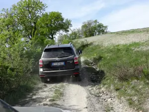 Subaru Forester Turbodiesel Lineartronic - Primo Contatto