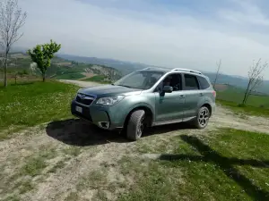 Subaru Forester Turbodiesel Lineartronic - Primo Contatto - 54