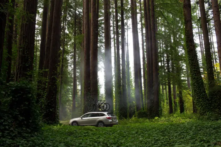 Subaru Outback MY 2015 - 4