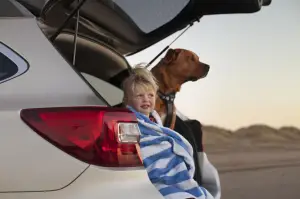 Subaru Outback MY 2015 - 25