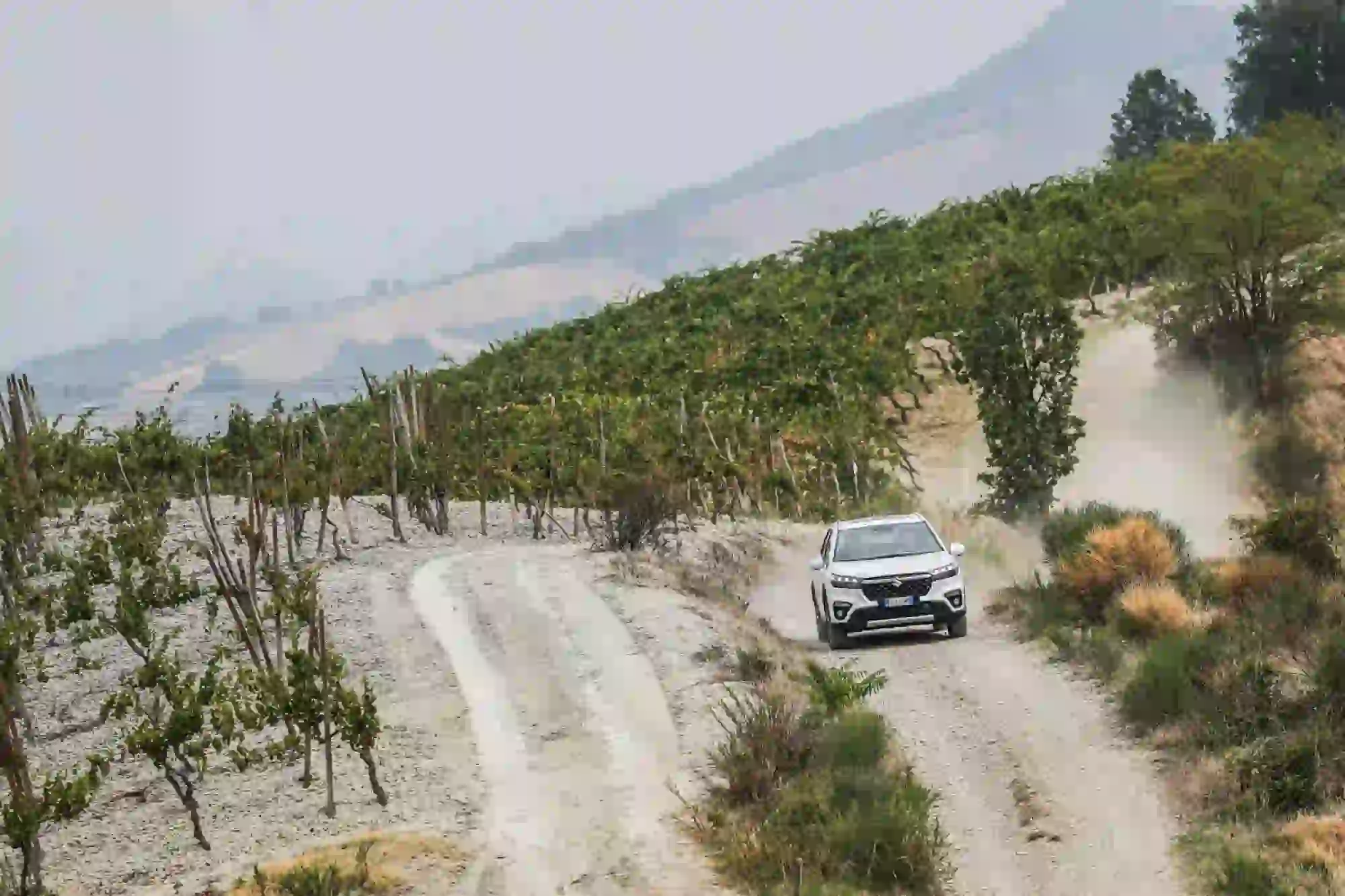 Suzuki S-Cross Hybrid 140V 2022 - 147