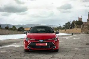 Toyota Corolla MY 2019 - 9