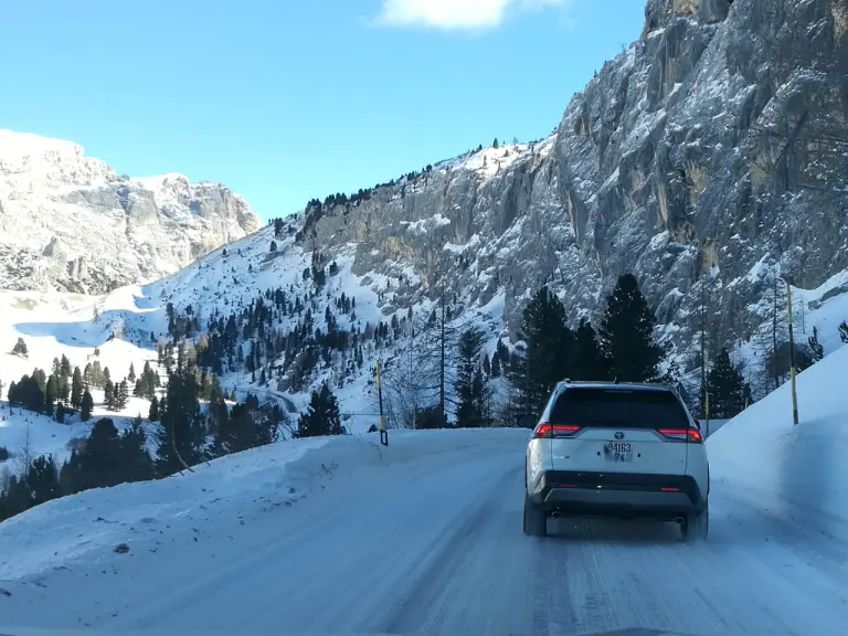 Toyota RAV4 Hybrid 2019 - 4