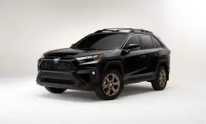 Toyota RAV4 Hybrid Woodland Edition - Foto