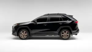 Toyota RAV4 Hybrid Woodland Edition - Foto