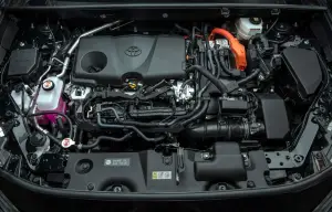 Toyota RAV4 Hybrid Woodland Edition - Foto