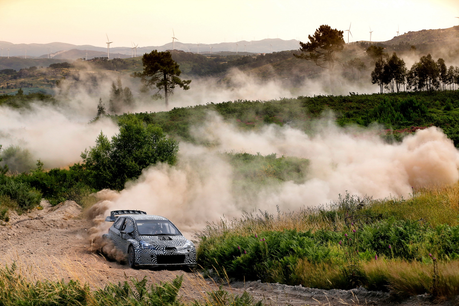 Toyota Yaris WRC 2017