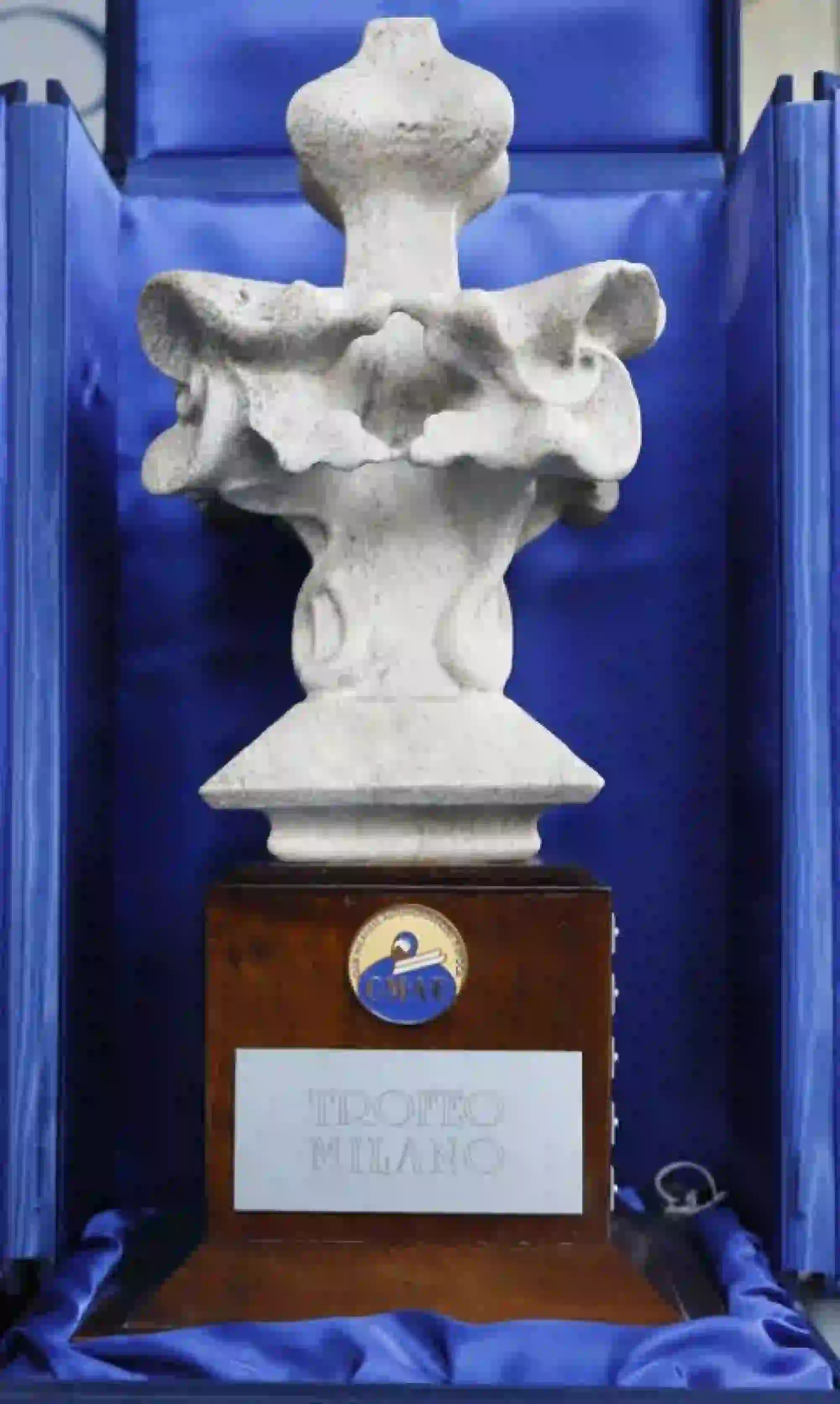 Trofeo Milano CMAE 2015 - 2
