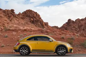 Volkswagen Beetle Dune