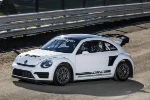 Volkswagen Beetle GRC 2015