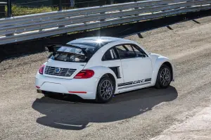 Volkswagen Beetle GRC 2015