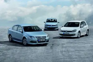 Volkswagen Golf, Polo e Passat BlueMotion