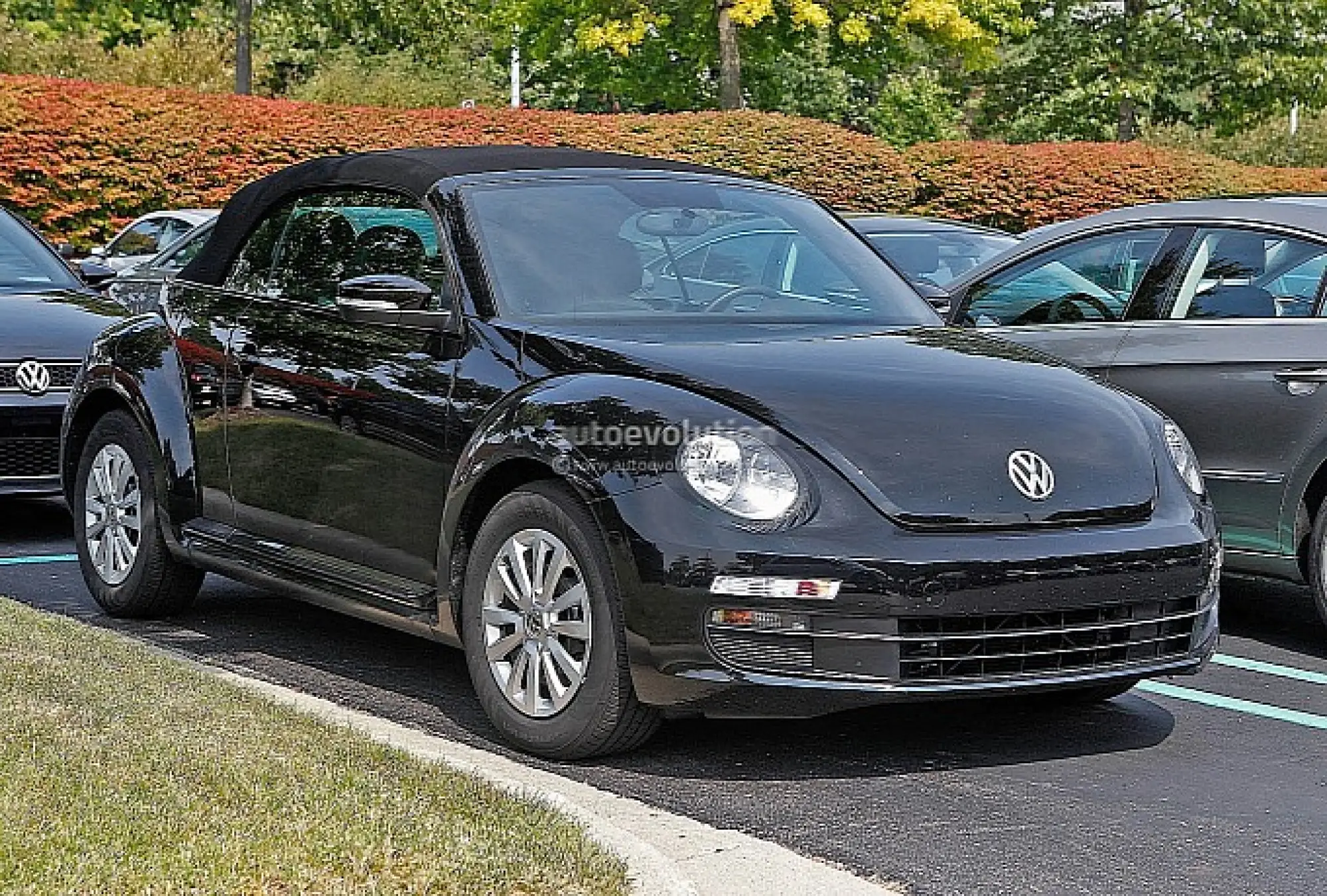 Volkswagen Maggiolino Cabrio 2014 - Foto spia 18-9-2012 - 2