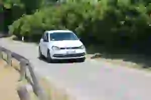 Volkswagen Polo 1.0 Fresh: prova su strada - 48