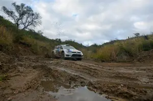 Volkswagen Polo R WRC - Rally di Argentina 2014