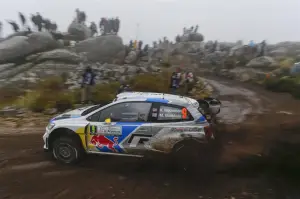 Volkswagen Polo R WRC - Rally di Argentina 2014