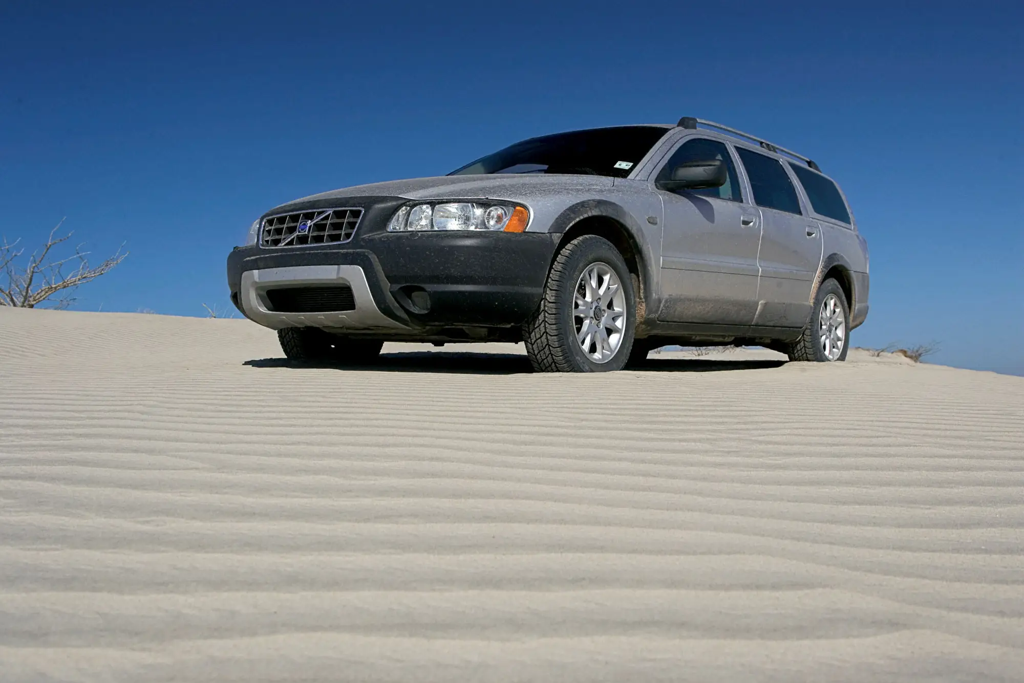 Volvo 90 anni Parco Valentino 2017 - 7