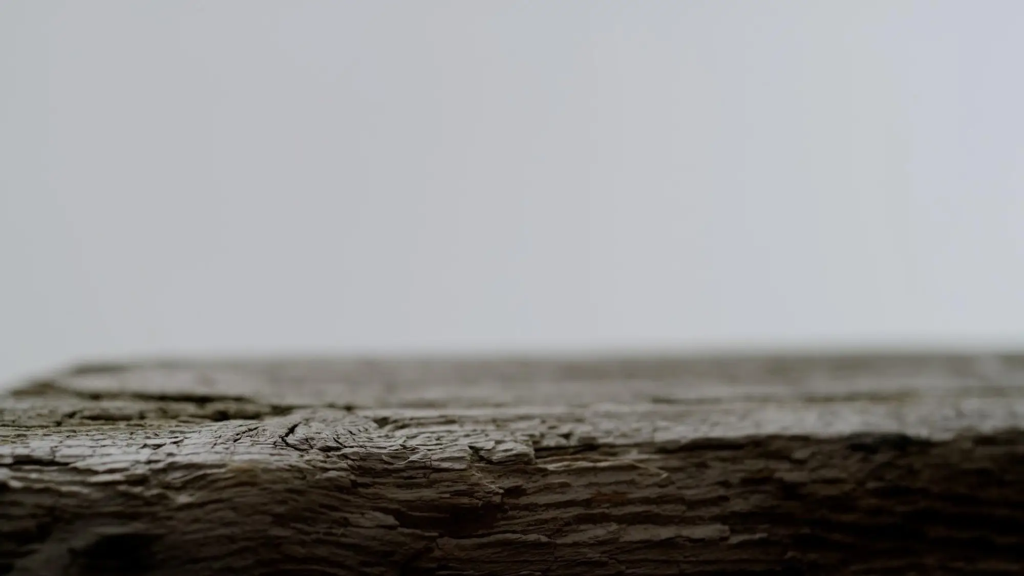 Volvo XC40 - Teaser - 1