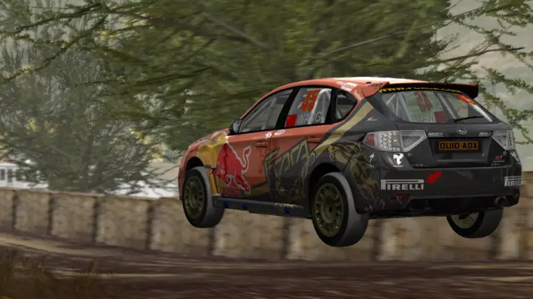 WRC 2010 - 6