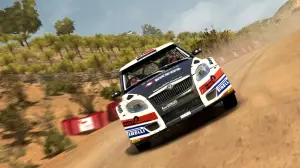 WRC 2010 - 14