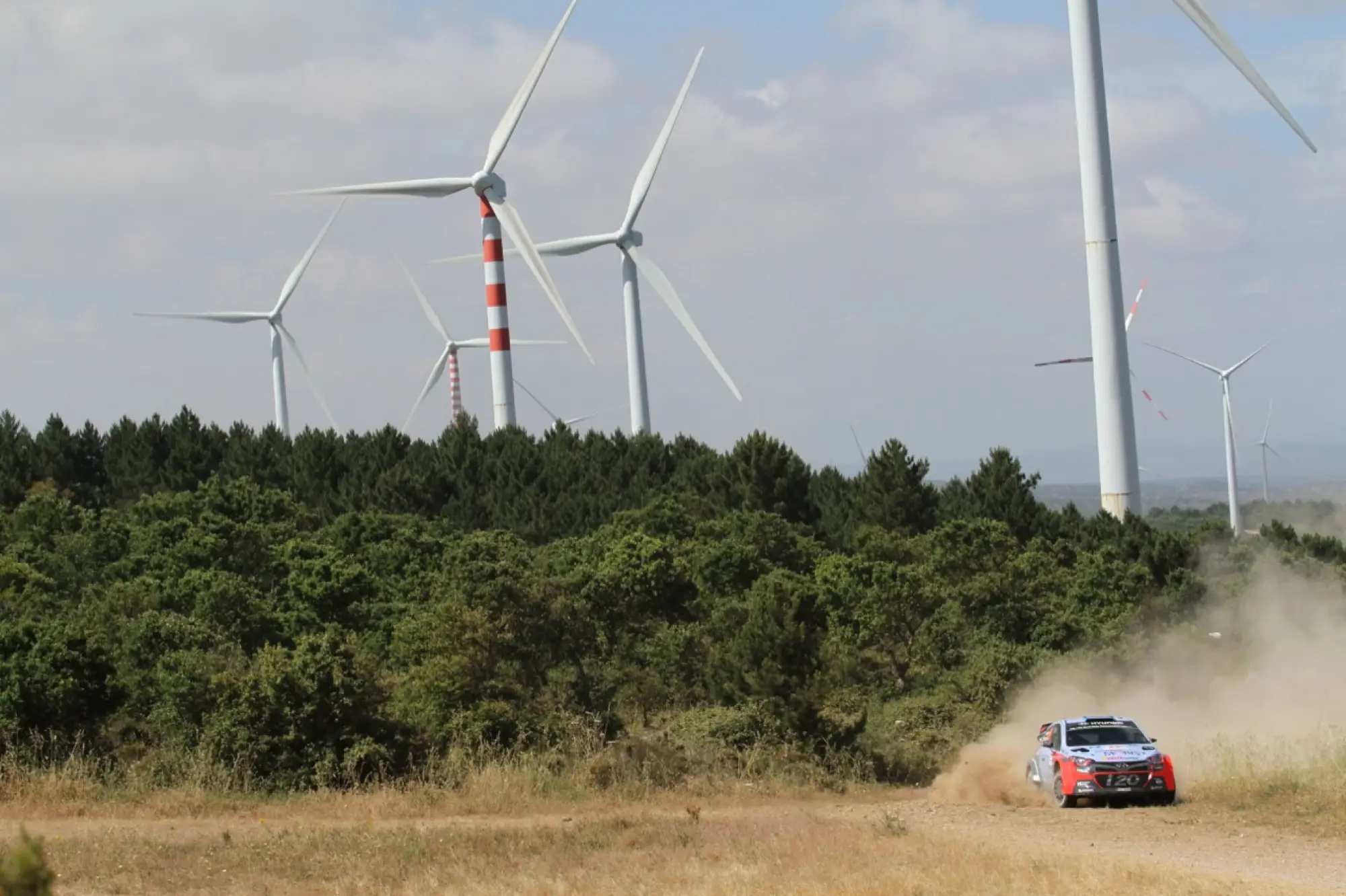 WRC Rally Italia Sardegna, Alghero 10 - 12 giugno 2016 - 221