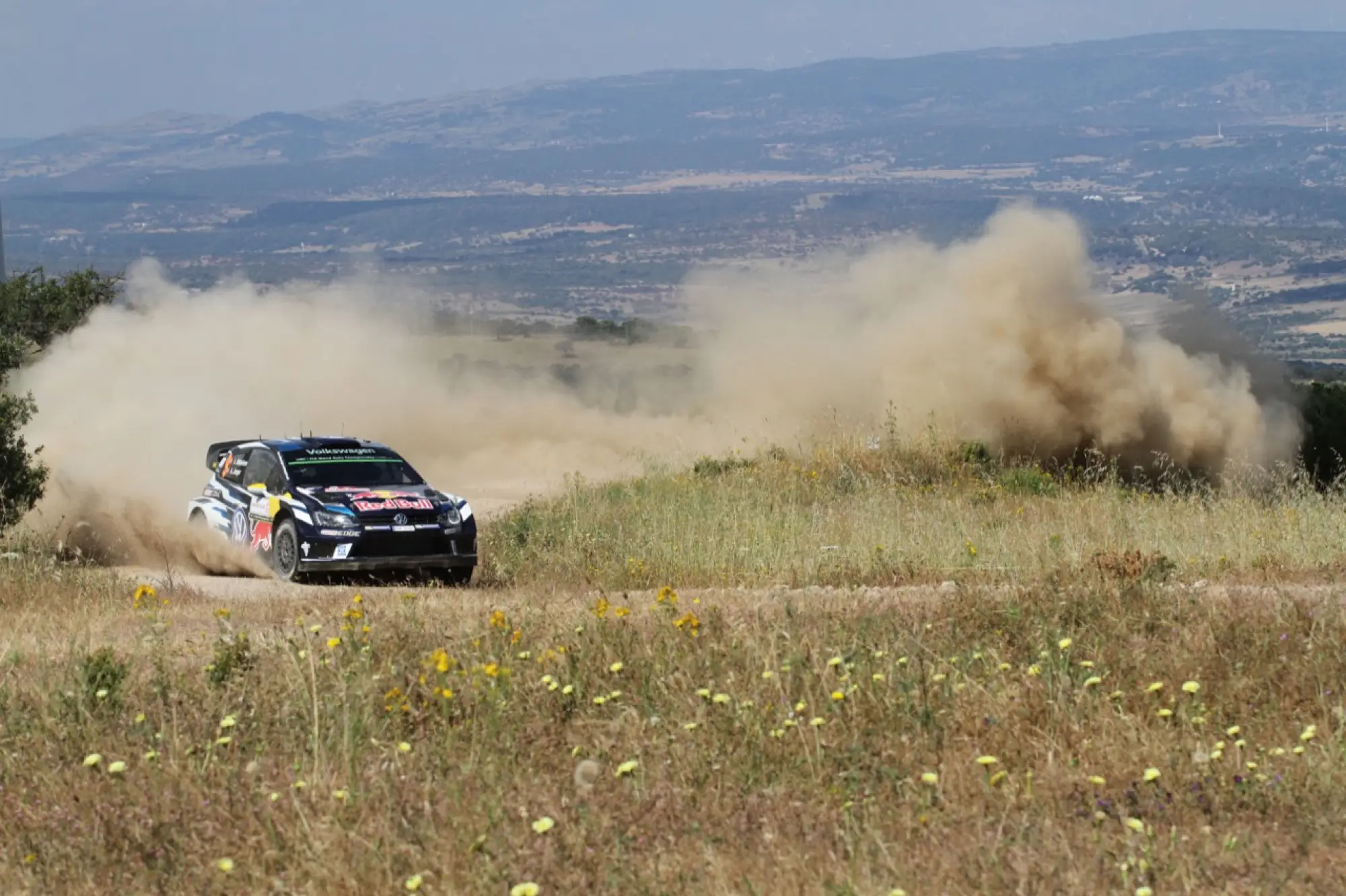 WRC Rally Italia Sardegna, Alghero 10 - 12 giugno 2016 - 265