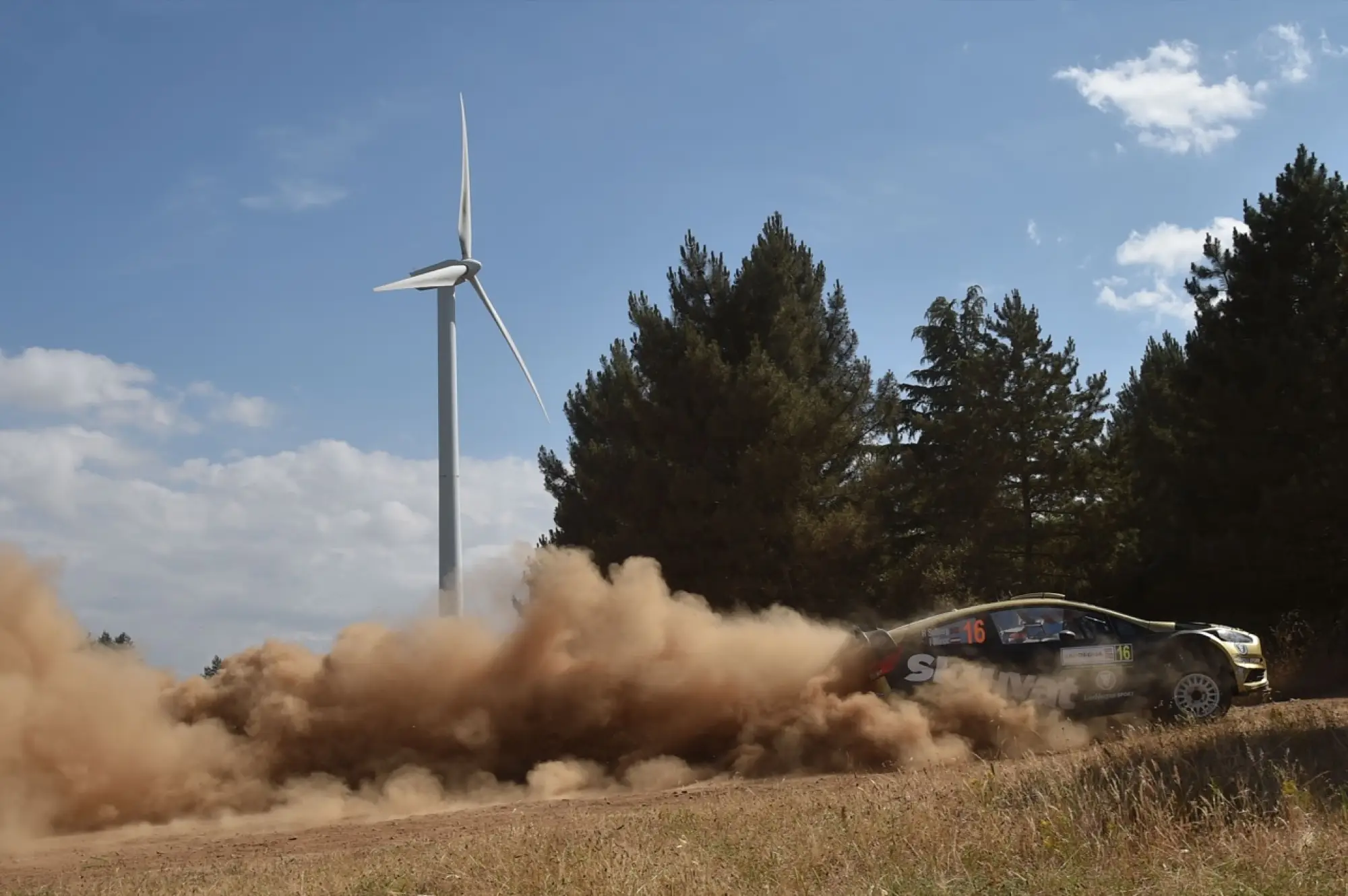 WRC Rally Italia Sardegna, Alghero 10 - 12 giugno 2016 - 314