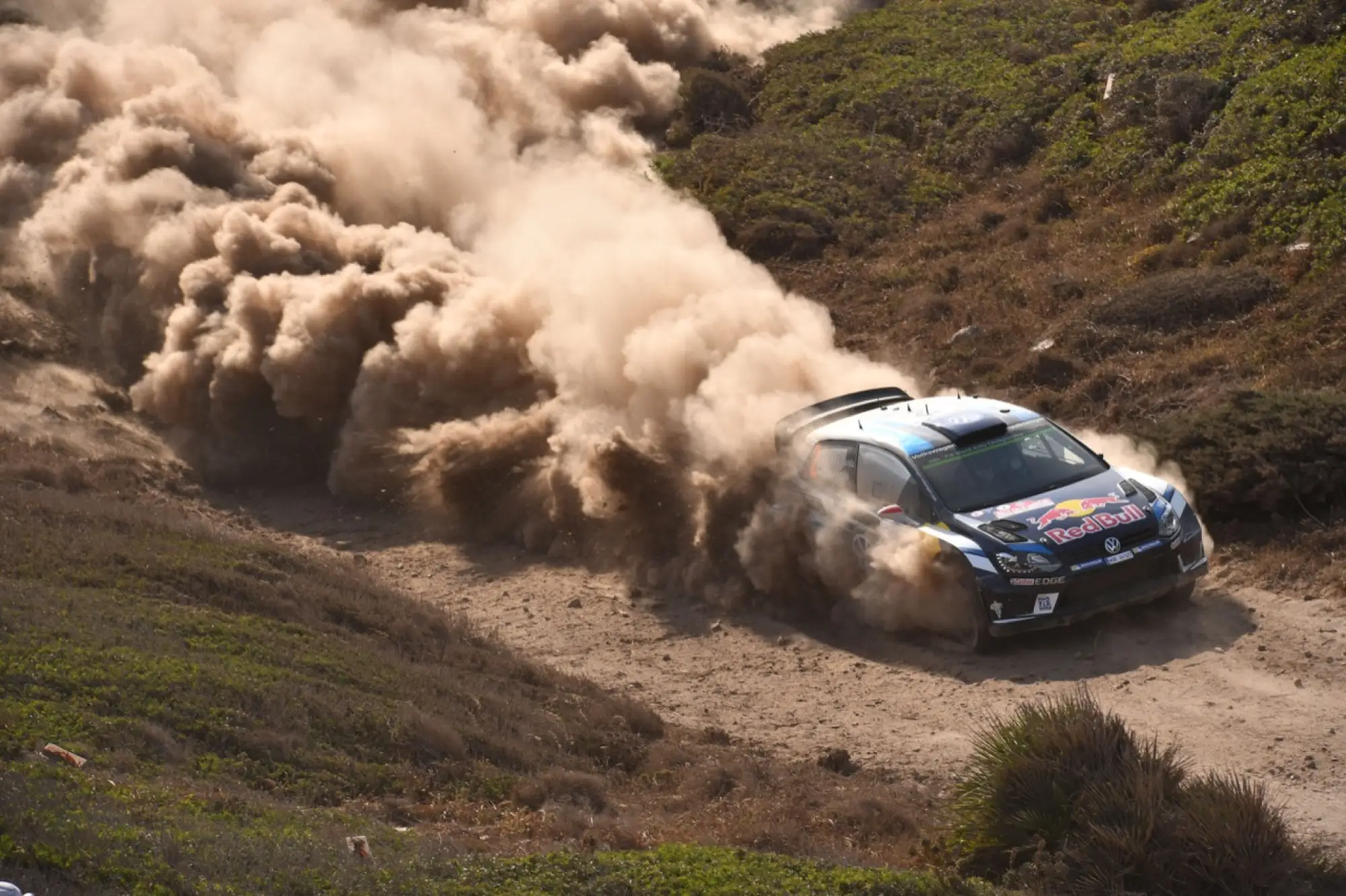 WRC Rally Italia Sardegna, Alghero 10 - 12 giugno 2016 - 436