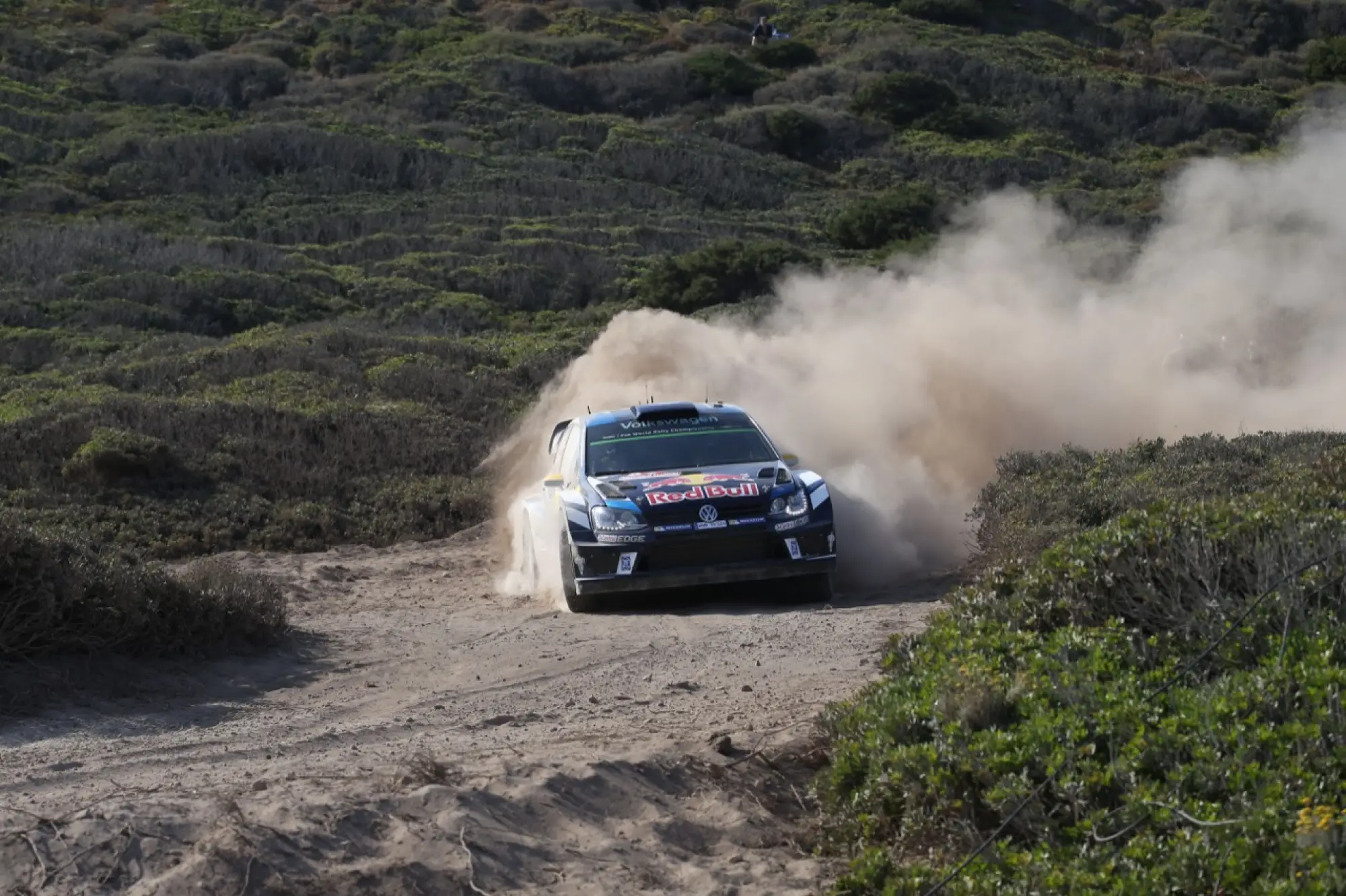 WRC Rally Italia Sardegna, Alghero 10 - 12 giugno 2016 - 449