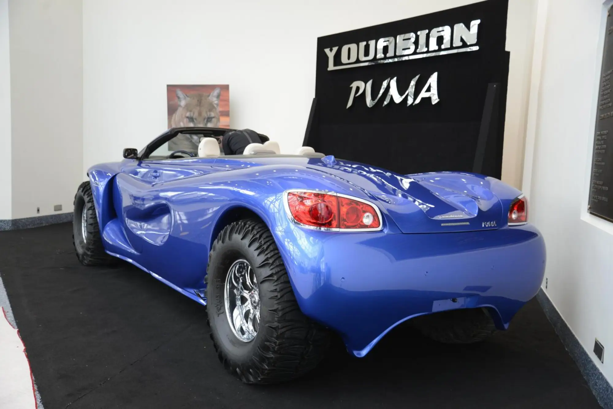 Youabian Puma - 2